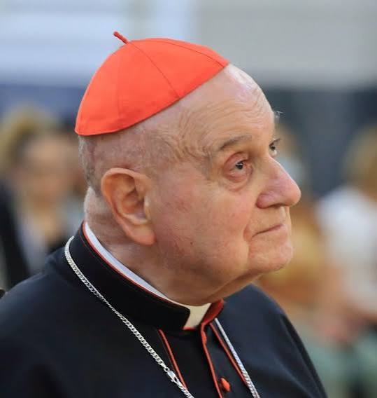 A cardinal
